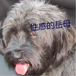 性感的岳母 （乌衣门第）