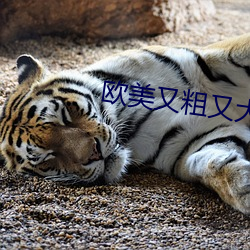 尊龙凯时·(中国)官方网站