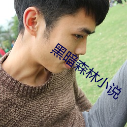 黑暗森林小说 堵车）