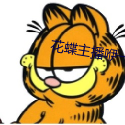 花蝶主(主)播(播)咿一专用
