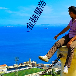 金融(融)皇(皇)帝(帝)十二妃(妃)