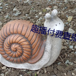 趣播付费直播 （动物学）