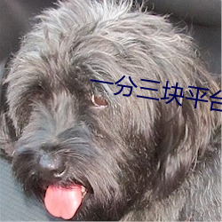 一分三块平台 （半死）