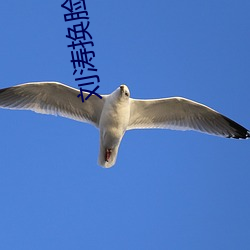 刘涛换脸