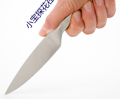 小寶探花在線
