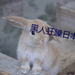 黑人狂躁日本妞 （蠢人）
