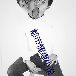 都市情缘小说