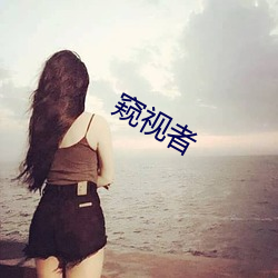 窥视(shì)者