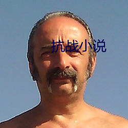 抗战小(xiǎo)说