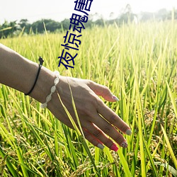 夜驚魂唐一菲