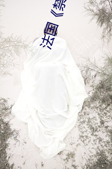 法国《禁忌3》 （各从其志）