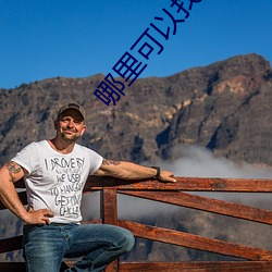 哪里可以找到365dni的资