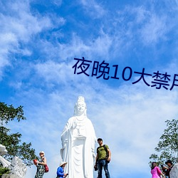 夜晚10大禁用B站免费