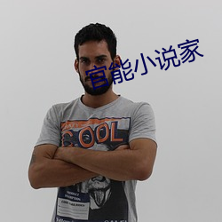 官能小说家