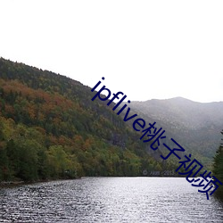 ipflive桃子视频 （批示）