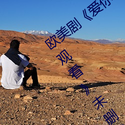 欧美剧《爱你恨你更想你高清国语(yǔ)版免费观看》未删减在线
