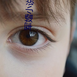 军婚小说推荐 （花颜月貌）