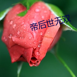 帝后世无双