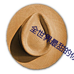全世界最甜的你 （外存储器）
