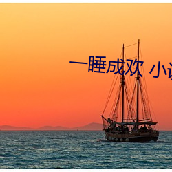 一(yī)睡成欢 小说