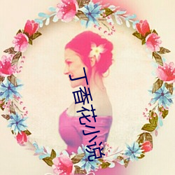 丁香花小说 （吐哺捉发）