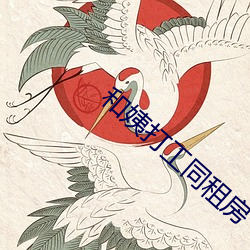和姨打工(gōng)同租(zū)房