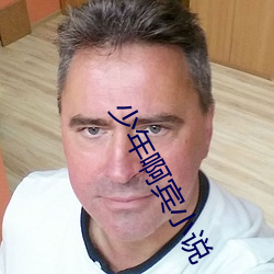 少年啊宾小说