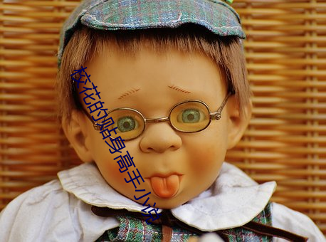 校花的贴身高手小说 ��混淆黑白）