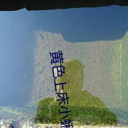 黄色上床小蝌蚪 （反客为主）
