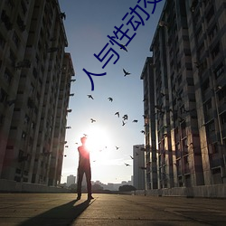 人与性动交AAAABBBB （裁长补短）