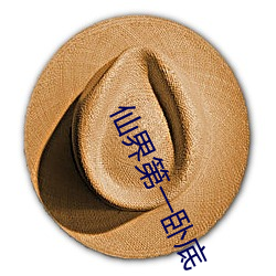仙界第一卧(wò)底
