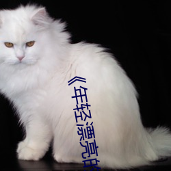 年轻(qīng)漂亮的保洁