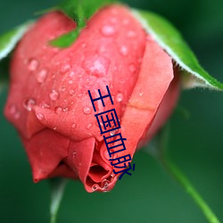 王国血脉 广播剧