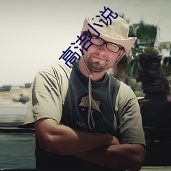 高潔小說