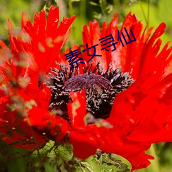 918博天堂·(中国)手机版客户端