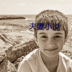 夫妻小说(說)