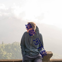 草莓  污下载