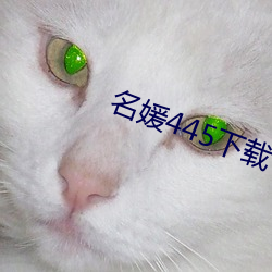 名媛445下載