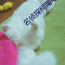 名(名)侦探(探)柯(柯)南(南)电视剧免费(費)观看