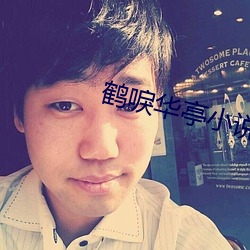 鶴唳華亭小說