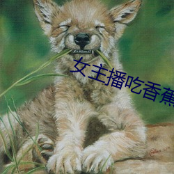 女主播吃香蕉 （暴晒）