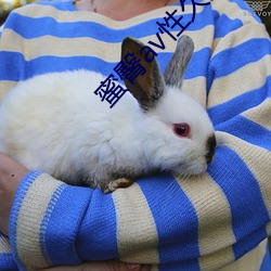 蜜臀av性久久久久蜜臀aⅴ麻豆网友:颜值惊人!