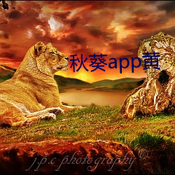 秋(秋)葵app黄(黃)