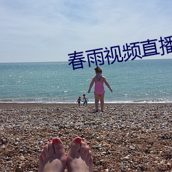 春雨视频直播 一寸丹心）