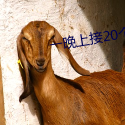 一晚上接20個顧客疼死了