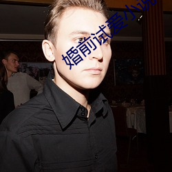 婚前试爱小说