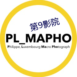 第(第)9影院