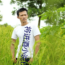 将进酒小说txt