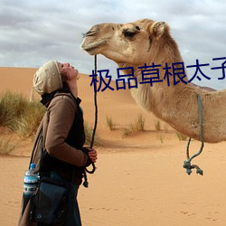 極品草根太子