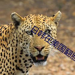日(rì)韩在美国翻脸(lin)